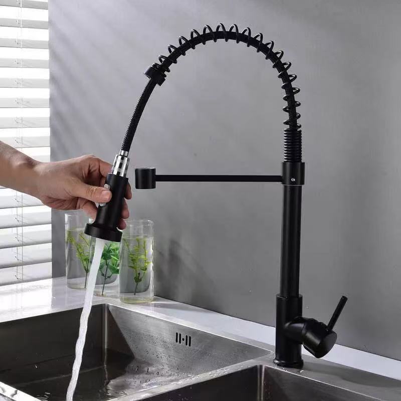 High-Bend Spring Tube Pull-Out Hot And Cold Kitchen Sink Faucet