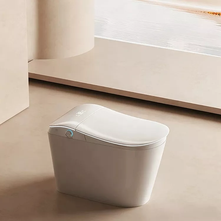 Lavabo intel·ligent amb filtre d'aigua integrat i rentat activat amb els peus
